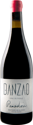Banzao Penedón Mencía Vino de Paraje 75 cl