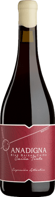 17,95 € Envío gratis | Vino tinto Anadigna Tinto D.O. Rías Baixas Galicia España Caíño Tinto Botella 75 cl