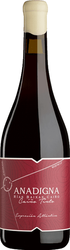 22,95 € Free Shipping | Red wine Anadigna Tinto D.O. Rías Baixas Galicia Spain Caíño Black Bottle 75 cl