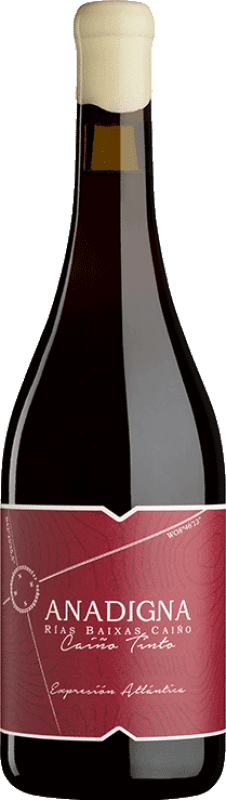 17,95 € Envío gratis | Vino tinto Anadigna Tinto D.O. Rías Baixas Galicia España Caíño Tinto Botella 75 cl