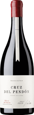 99,95 € Spedizione Gratuita | Vino rosso Luis Cañas Cruz del Pendón D.O. Ribera del Duero Castilla y León Spagna Tempranillo Bottiglia 75 cl