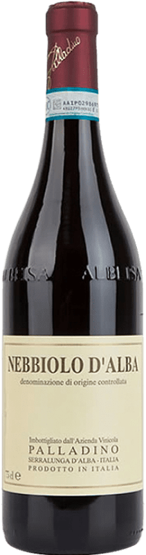 44,95 € Kostenloser Versand | Rotwein Palladino D.O.C. Nebbiolo d'Alba Italien Nebbiolo Flasche 75 cl