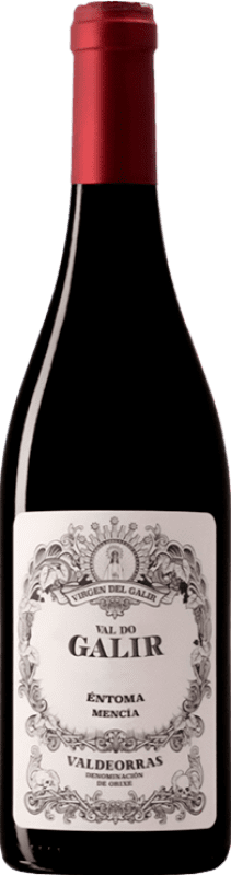 14,95 € Kostenloser Versand | Rotwein Virxe de Galir Val do Galir D.O. Valdeorras Galizien Spanien Mencía 75 cl