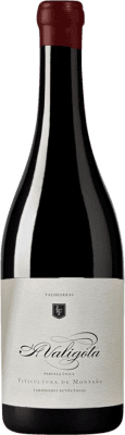 39,95 € Free Shipping | Red wine O Cabalin A Valigota D.O. Valdeorras Portugal Grenache, Mencía, Brancellao, Merenzao Bottle 75 cl