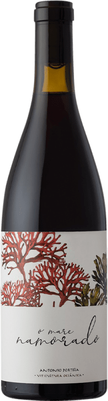 29,95 € Free Shipping | Red wine Antonio Portela Namorado Tinta Femia Galicia Spain Bottle 75 cl