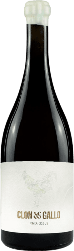 42,95 € Envio grátis | Vinho Branco Dominio del Blanco D.O. Rueda Castela e Leão Espanha Verdejo 75 cl