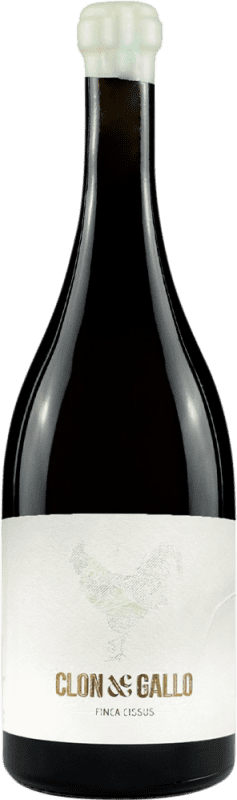 39,95 € Spedizione Gratuita | Vino bianco Dominio del Blanco D.O. Rueda Castilla y León Spagna Verdejo Bottiglia 75 cl