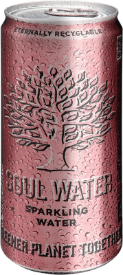 24,95 € Envío gratis | Caja de 24 unidades Agua Menno Koopmans Soul Water Sparkling Islas Baleares España Lata 33 cl
