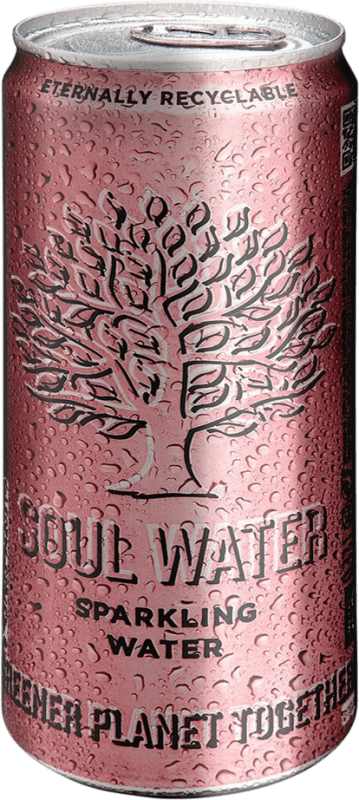 23,95 € 免费送货 | 盒装24个 水 Menno Koopmans Soul Water Sparkling 巴利阿里群岛 西班牙 铝罐 33 cl