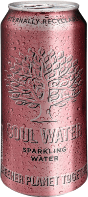 Wasser 24 Einheiten Box Menno Koopmans Soul Water Sparkling 50 cl