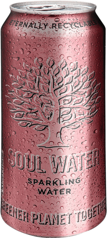 27,95 € 送料無料 | 24個入りボックス 水 Menno Koopmans Soul Frizzante — 微発泡, Mineral Natural — 天然ミネラル バレアレス諸島 スペイン 缶 50 cl