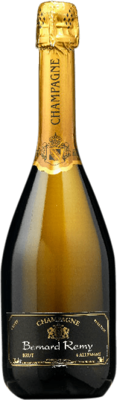 49,95 € Envio grátis | Vinho branco Bernard Remy Prestige Brut Grande Reserva A.O.C. Champagne Champagne França Garrafa 75 cl