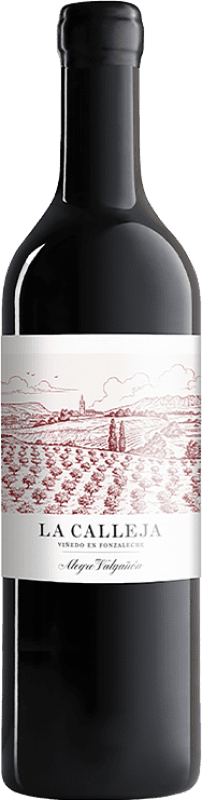 34,95 € Envoi gratuit | Vin rouge Alegre Valgañón La Calleja D.O.Ca. Rioja Espagne Tempranillo Bouteille 75 cl