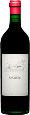 29,95 € Spedizione Gratuita | Vino rosso Foradori Teroldego Rotaliano I.G.T. Vigneti delle Dolomiti Italia Teroldego Bottiglia 75 cl