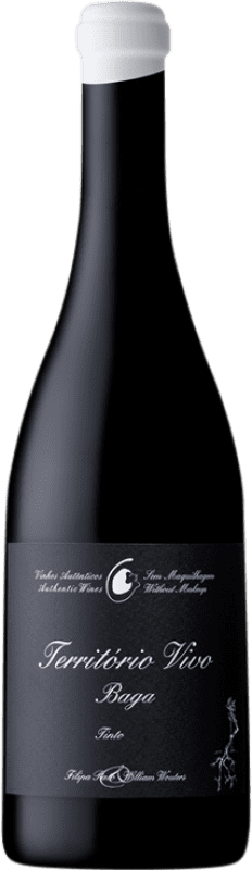 23,95 € Kostenloser Versand | Rotwein Filipa Pato Território Vivo D.O.C. Bairrada Portugal Baga Flasche 75 cl