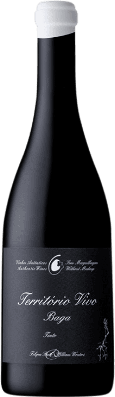 23,95 € Envoi gratuit | Vin rouge Filipa Pato Território Vivo D.O.C. Bairrada Portugal Baga Bouteille 75 cl