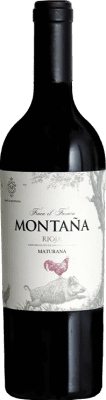 39,95 € Envio grátis | Vinho tinto Montaña Finca el Faraón D.O.Ca. Rioja Espanha Maturana Tinta Garrafa 75 cl