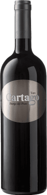 115,95 € 免费送货 | 红酒 San Román Cartago D.O. Toro 西班牙 Tinta de Toro 瓶子 75 cl