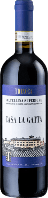 24,95 € Free Shipping | Red wine Triacca Casa La Gatta D.O.C.G. Valtellina Superiore Italy Nebbiolo Bottle 75 cl