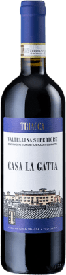 24,95 € Envio grátis | Vinho tinto Triacca Casa La Gatta D.O.C. Valtellina Itália Nebbiolo Garrafa 75 cl
