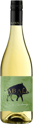 9,95 € 送料無料 | 白ワイン Paniza Jabalí Agostón Chardonnay Viura D.O. Cariñena アラゴン スペイン Viura, Chardonnay ボトル 75 cl