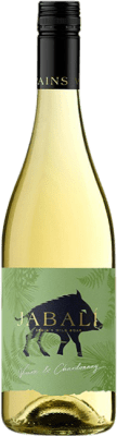 9,95 € Envío gratis | Vino blanco Paniza Jabalí Agostón Chardonnay Viura D.O. Cariñena Aragón España Viura, Chardonnay Botella 75 cl