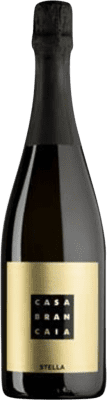 42,95 € Kostenloser Versand | Weißer Sekt Brancaia Stella di Qualità Metodo Classico Spumante D.O.C. Chiaretto Riviera del Garda Classico Franschhoek Italien Chardonnay Flasche 75 cl