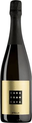 39,95 € Free Shipping | White sparkling Brancaia Stella di Qualità Metodo Classico Spumante D.O.C. Chiaretto Riviera del Garda Classico Franschhoek Italy Chardonnay Bottle 75 cl