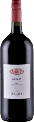 7,95 € Kostenloser Versand | Rotwein Colli del Soligo D.O.C. Piave Venecia Italien Merlot Flasche 1 L