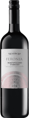 7,95 € Бесплатная доставка | Красное вино Galasso Feronia D.O.C. Montepulciano d'Abruzzo Абруцци Италия Montepulciano — Монтепульчано Бутылка 75 cl