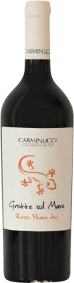 14,95 € Free Shipping | Red wine Carminucci Grotte sul Mare D.O.C. Rosso Piceno Marcas Italy Bottle 75 cl