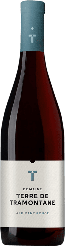 18,95 € Free Shipping | Red wine Terre de Tramontane Arrivant Rouge I.G.P. Vin de Pays Languedoc Languedoc-Roussillon France Grenache, Nebbiolo, Mourvèdre Bottle 75 cl