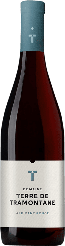 19,95 € Kostenloser Versand | Rotwein Terre de Tramontane Arrivant I.G.P. Vin de Pays Languedoc Languedoc-Roussillon Frankreich Garnacha — Grenache, Nebbiolo, Mourvèdre 75 cl