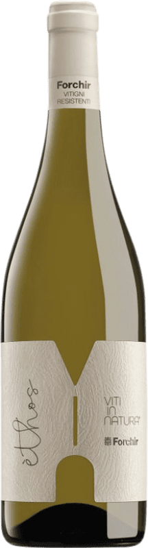 62,95 € Envio grátis | Vinho Branco Forchir Ethos Friuli-Venezia Giulia Itália Garrafa Magnum 1,5 L