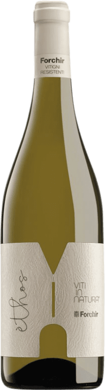 62,95 € Spedizione Gratuita | Vino bianco Forchir Ethos Bianco Friuli-Venezia Giulia Italia Bottiglia Magnum 1,5 L