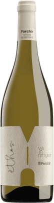 16,95 € Free Shipping | White wine Forchir Ethos Bianco Friuli-Venezia Giulia Italy Bottle 75 cl