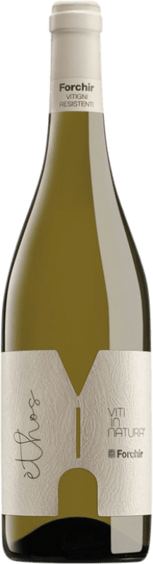 16,95 € Spedizione Gratuita | Vino bianco Forchir Ethos Bianco Friuli-Venezia Giulia Italia Bottiglia 75 cl