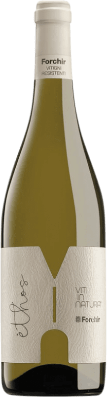 16,95 € Envío gratis | Vino Blanco Forchir Ethos Friuli-Venezia Giulia Italia Botella 75 cl