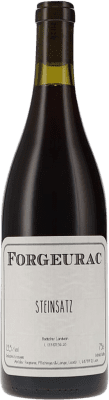 63,95 € Бесплатная доставка | Красное вино Forgeurac Steinsatz Badischer Landwein I.G. Baden Baden Германия Pinot Black бутылка 75 cl