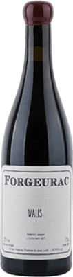 52,95 € 免费送货 | 红酒 Forgeurac Walis Badischer Landwein I.G. Baden Baden 德国 Pinot Black 瓶子 75 cl