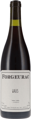 39,95 € Spedizione Gratuita | Vino Rosso Forgeurac Walis I.G. Baden Baden Germania Pinot Nero 75 cl