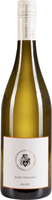 17,95 € Бесплатная доставка | Белое вино Freiherr von Gleichenstein Hofgarten Trocken — Сухое Blanc de Blancs I.G. Baden Baden Германия Nebbiolo — Неббиоло, Sauvignon — Совиньон, Müller-Thurgau — Мюллер-Тургау 75 cl