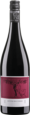 22,95 € Kostenloser Versand | Rotwein Friedrich Becker Trocken Q.b.A. Pfälz Pfälz Deutschland Spätburgunder Flasche 75 cl