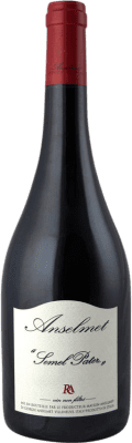 71,95 € Spedizione Gratuita | Vino rosso Anselmet Semel Pater Riserva D.O.C. Valle d'Aosta Italia Pinot Nero Bottiglia 75 cl