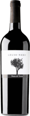 16,95 € Free Shipping | Red wine Podere 29 Gelso Nero I.G.T. Puglia Puglia Italy Nero di Troia Bottle 75 cl