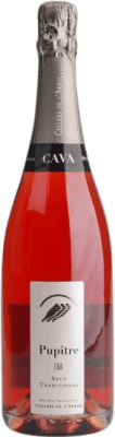 17,95 € Envoi gratuit | Vin Mousseux Rosé Pupitre Rosé D.O. Cava Catalogne Espagne Trepat 75 cl