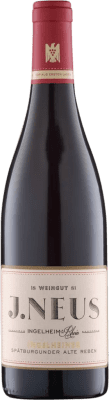 Villa Neus Ingelheimer Alte Reben Pinot Black сухой 75 cl