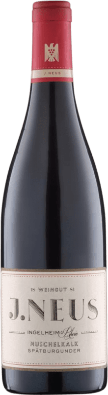 11,95 € Envio grátis | Vinho tinto Villa Neus Neus Muschelkalk Seco V.D.P. Gutswein Rheinhessen Alemanha Pinot Preto Garrafa 75 cl