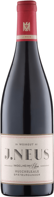 18,95 € 送料無料 | 赤ワイン Villa Neus Neus Muschelkalk ドライ V.D.P. Gutswein Rheinhessen ドイツ Pinot Black ボトル 75 cl