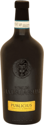 29,95 € Free Shipping | Red wine Hadrianum Publicius Gealtert en Tonamphore D.O.C. Cerasuolo d'Abruzzo Italy Bottle 75 cl